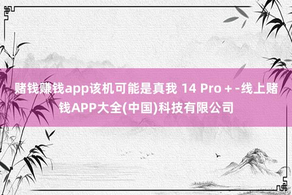 赌钱赚钱app该机可能是真我 14 Pro＋-线上赌钱APP大全(中国)科技有限公司