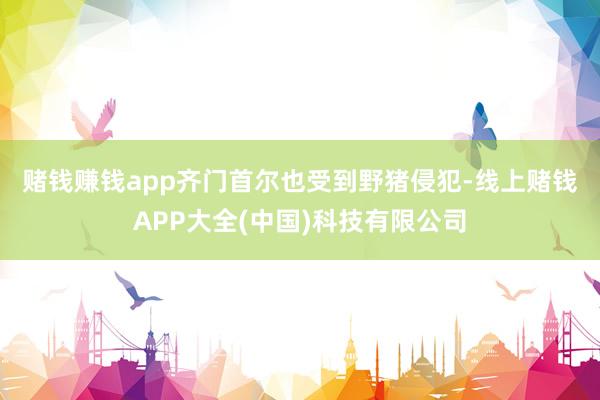 赌钱赚钱app　　齐门首尔也受到野猪侵犯-线上赌钱APP大全(中国)科技有限公司