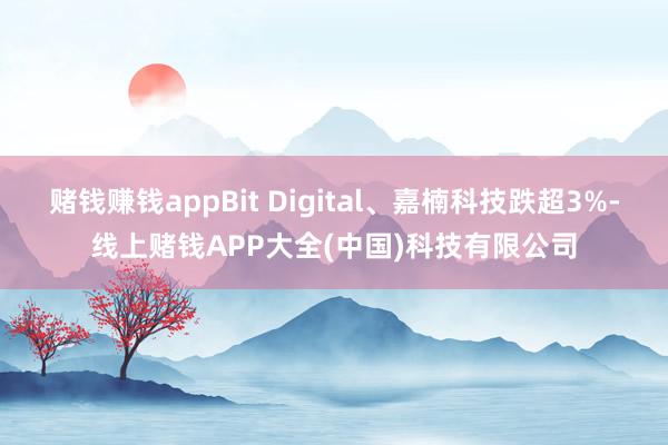 赌钱赚钱appBit Digital、嘉楠科技跌超3%-线上赌钱APP大全(中国)科技有限公司
